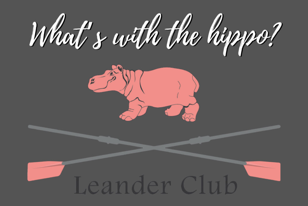 what-with-the-hippo-the-thoughtful-rower